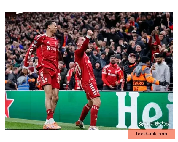 库尔图瓦荣膺2025-26赛季欧战最佳门将皇马官方宣布